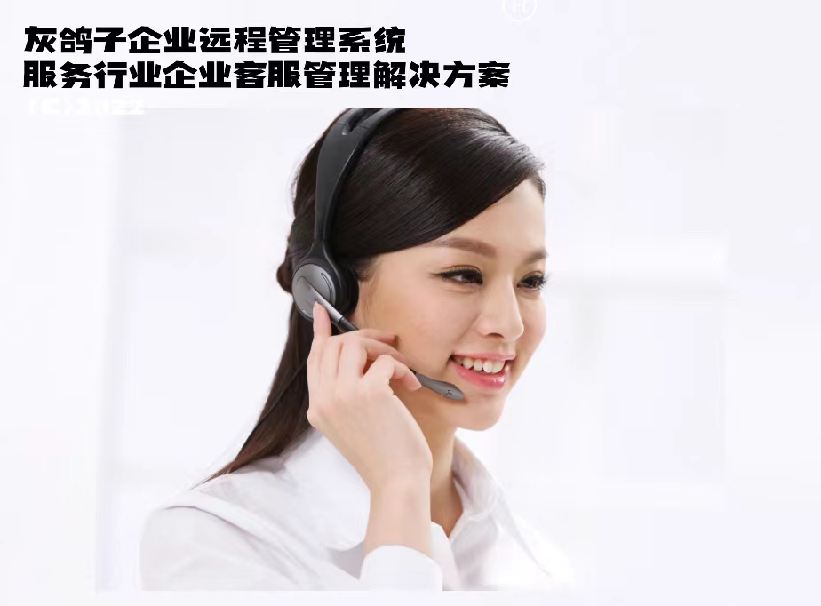 灰鴿子、向日葵、To desk、Team Viewer、Anydesk