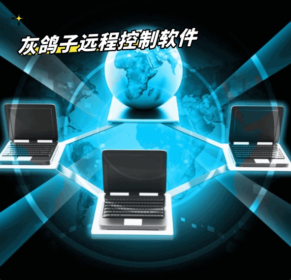灰鴿子、向日葵、To desk、Team Viewer、Anydesk