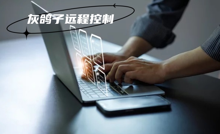 灰鴿子、向日葵、To desk、Team Viewer、Anydesk