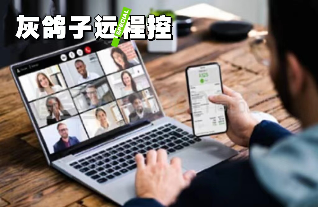 灰鴿子、向日葵、To desk、Team Viewer、Anydesk